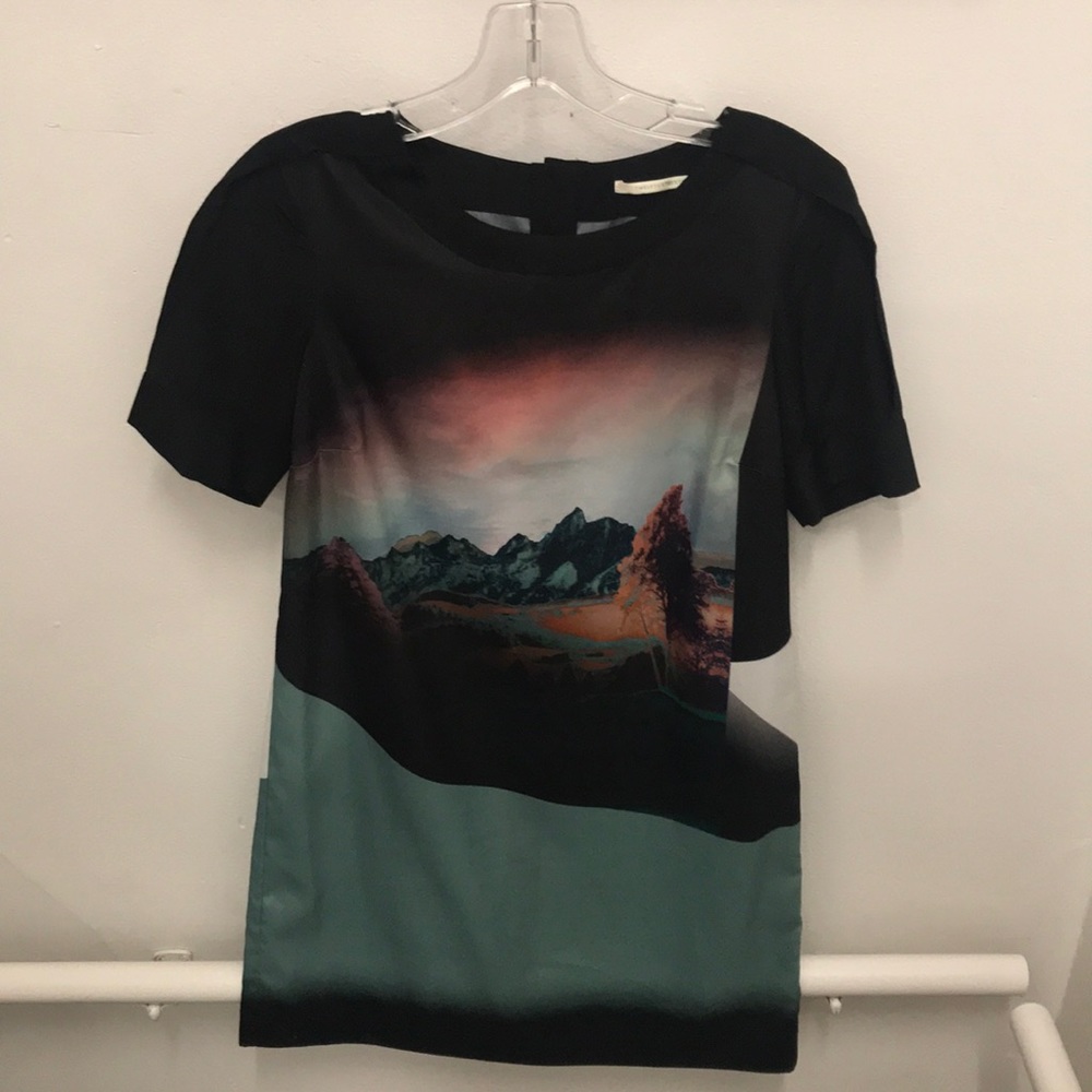 Twelfth Street Cynthia Vincent shift dress